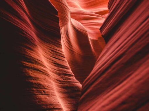 Landscape Project #05