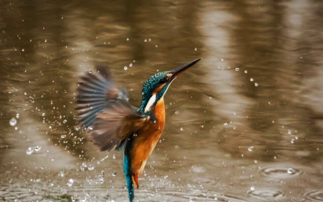 5 Reasons Why People Love Photography